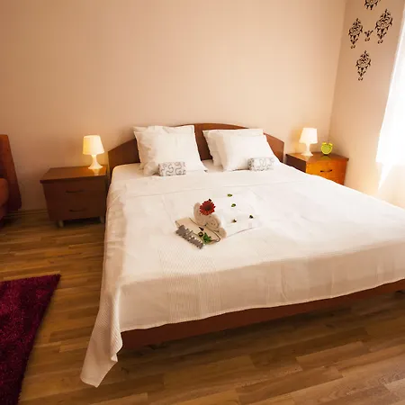 Apartment Lidicka Prague