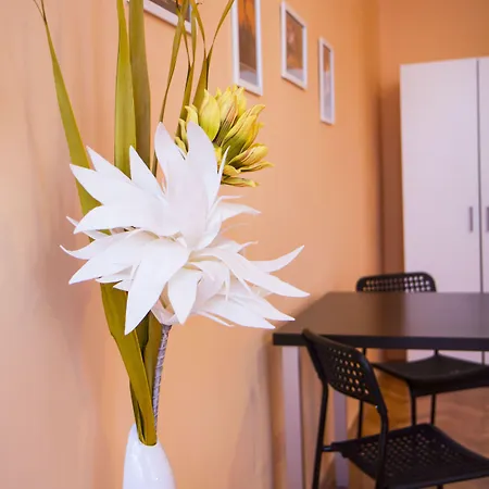 Apartment Lidicka