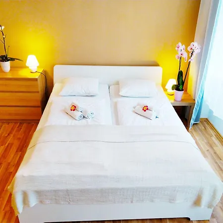 Apartment Lidicka Prague