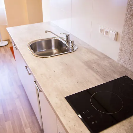 Apartment Lidicka *