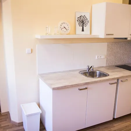 Lidicka Apartment
