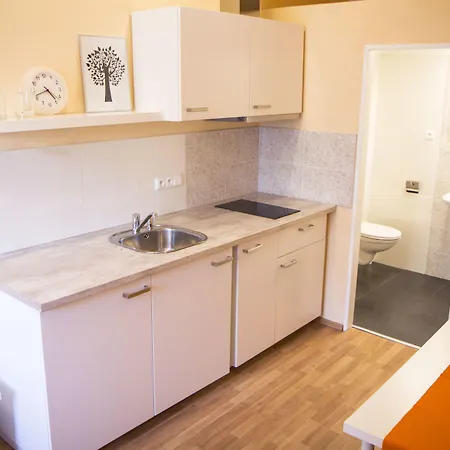 Apartment Lidicka Prague