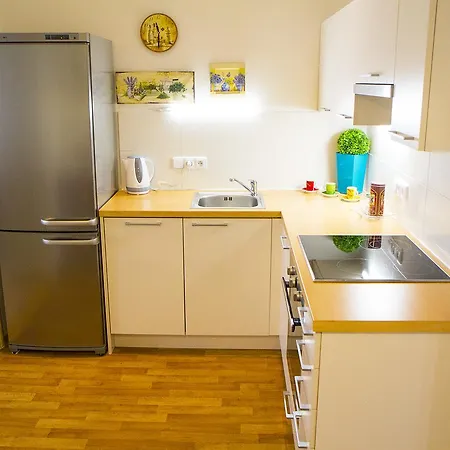Lidicka Apartment *