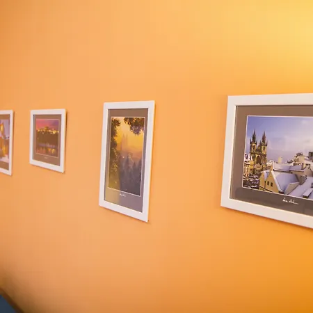 Lidicka Apartment Prag